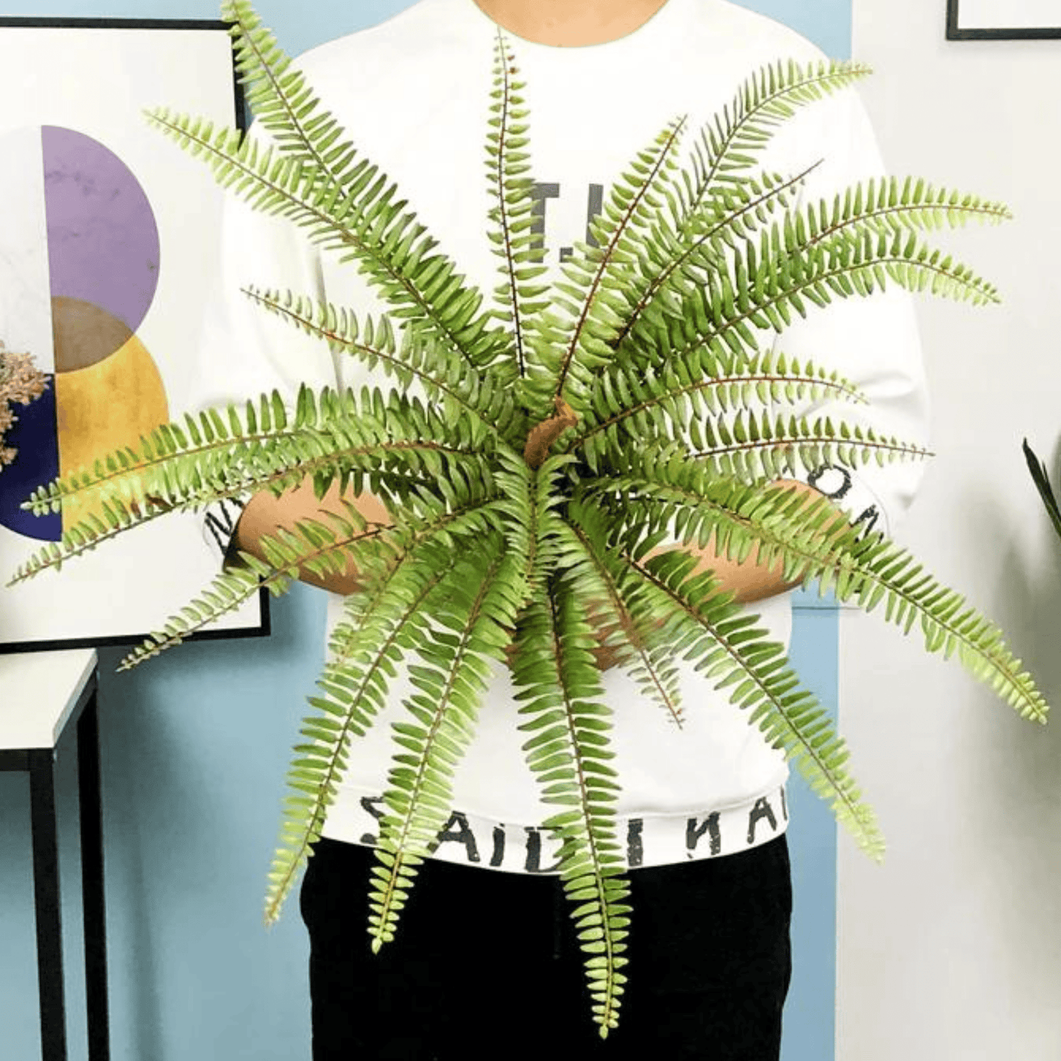 Artifical Lush Tropical Boston Fern- Large, M 50cm 24Leaves Artificial Plants