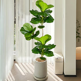 Artificial Ficus Tree - Large Fake Rubber Plant for Indoor/Outdoor Decor Artificial Plants