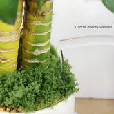 Artificial Moss Decor - Lush Green Lawn for DIY & Landscaping Artificial Moss