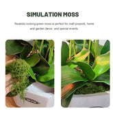 Artificial Moss Decor - Lush Green Lawn for DIY & Landscaping Artificial Moss