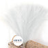 Artificial Pampas Grass - 15/30 Pcs, Realistic Home & Event Decor White / 15pcs Artificial Plants