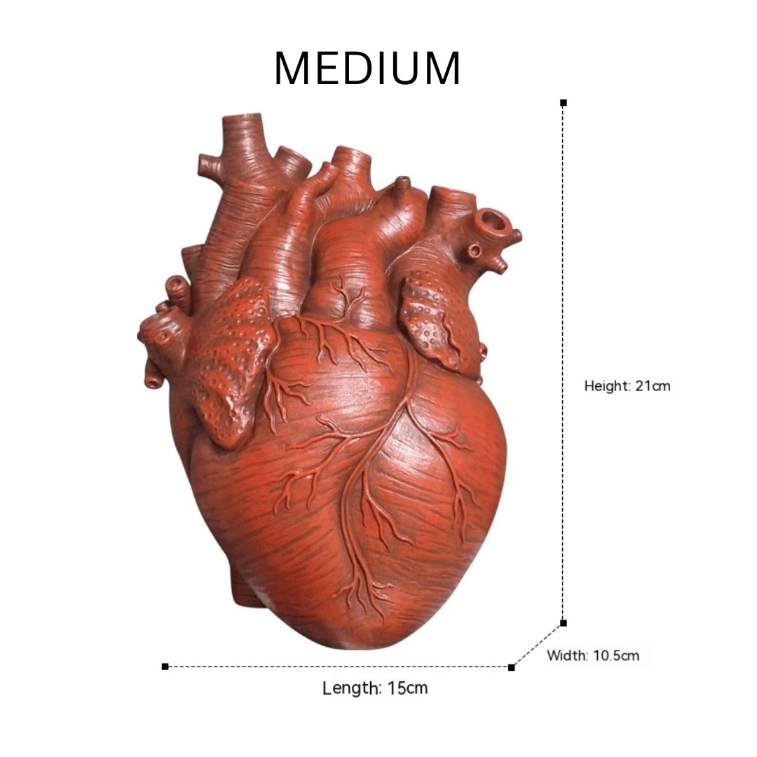 Artistic Anatomical Heart Shape Vase vase