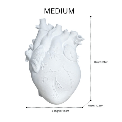 Artistic Anatomical Heart Shape Vase vase