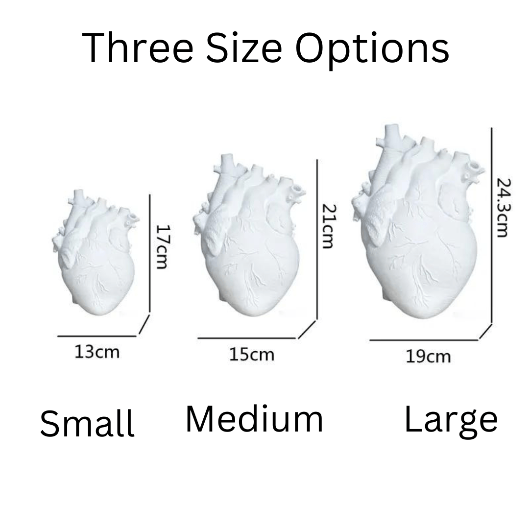 Artistic Anatomical Heart Shape Vase vase
