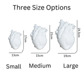 Artistic Anatomical Heart Shape Vase vase