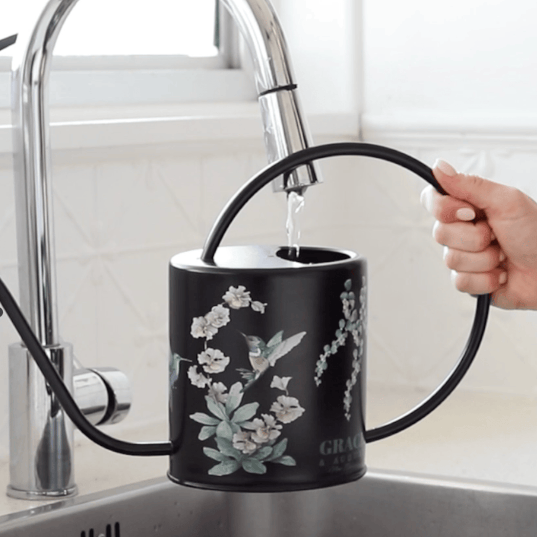 Black Hummingbird Watering Can – 1.5L Stainless Steel Indoor Plant Watering Can - Clearance Item Watering Can