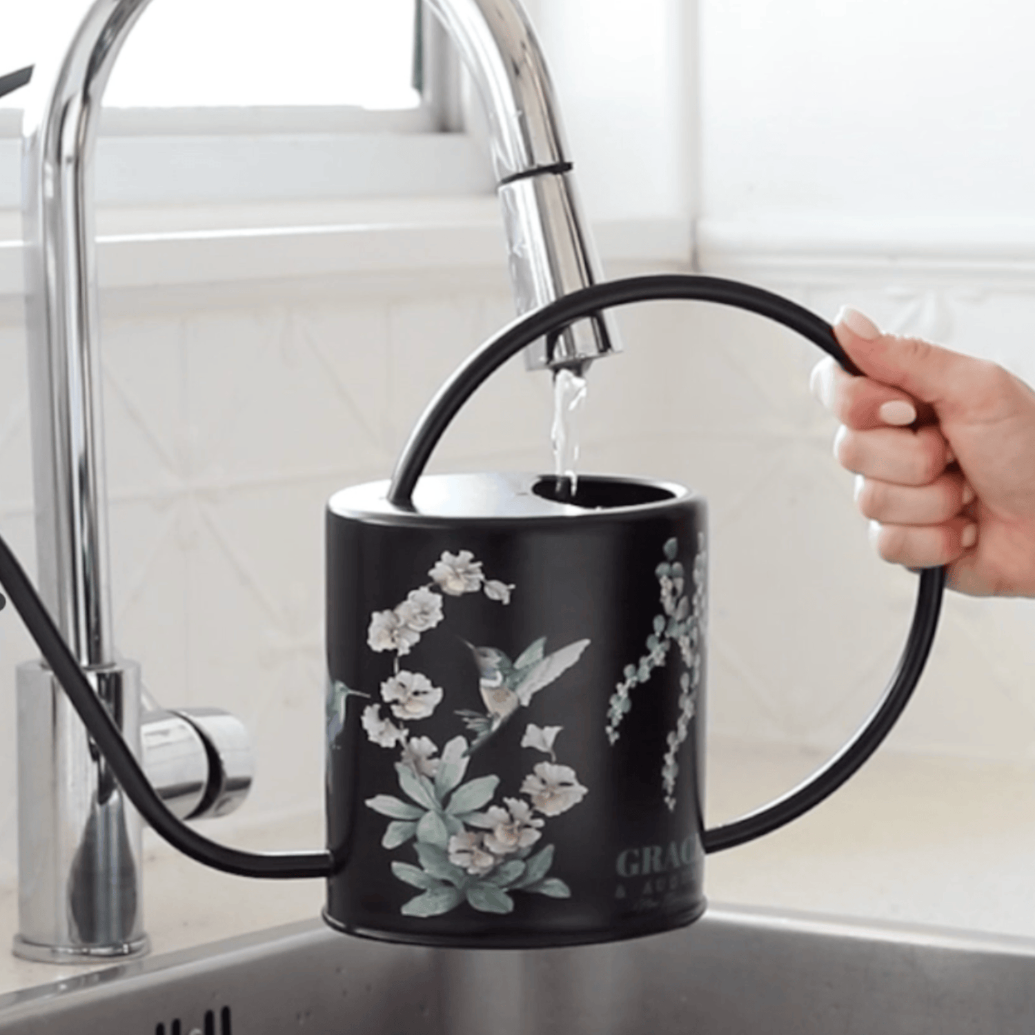 Black Hummingbird Watering Can – 1.5L Stainless Steel Indoor Plant Watering Can - Clearance Item Watering Can