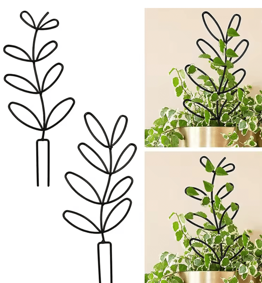 Black Metal Plant Trellis – Minimal Vine Support (Clearance)