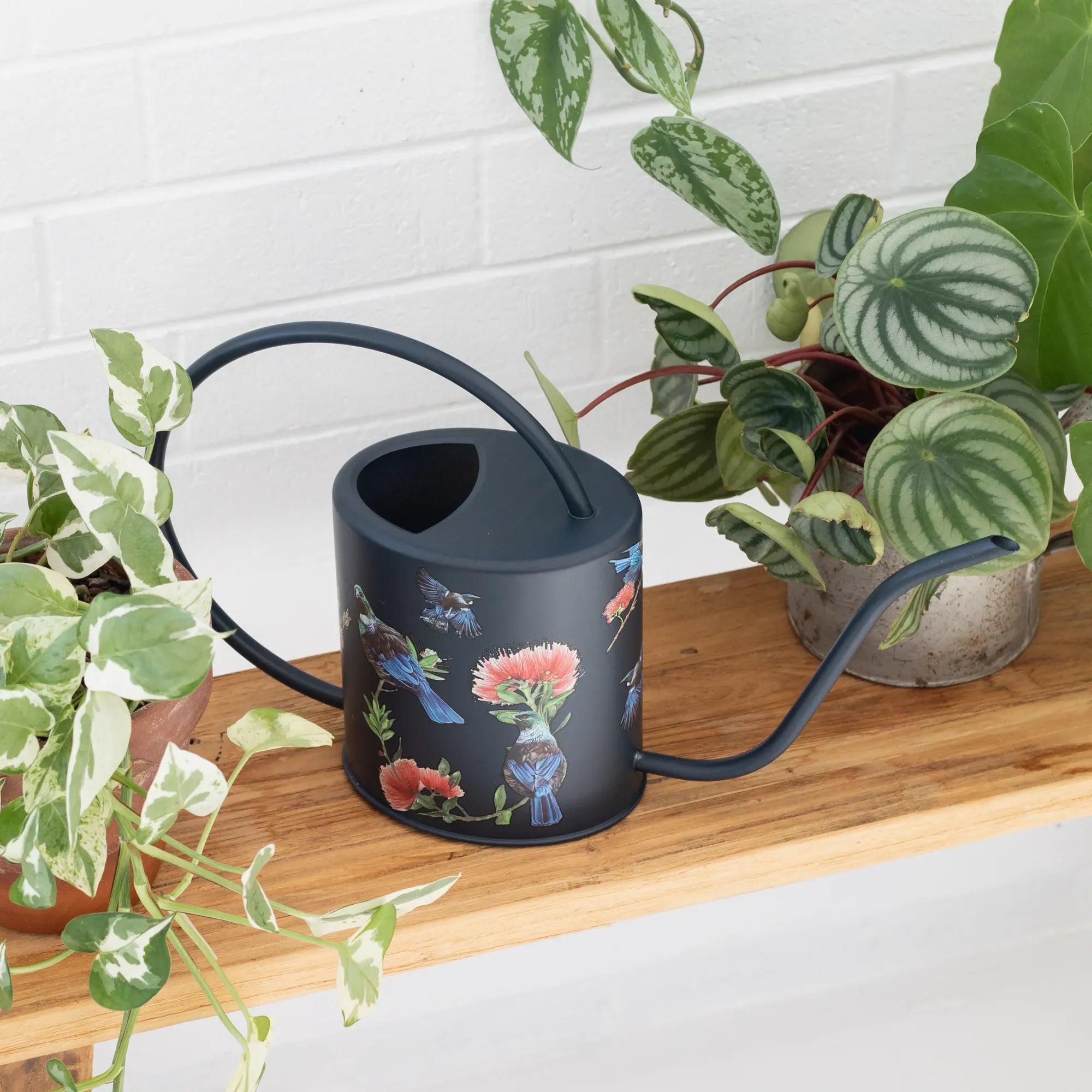 Black Tui Pōhutukawa Watering Can – 1.5L Stainless Steel Indoor Plant Watering Can Watering Can