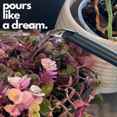 Black Tui Pōhutukawa Watering Can – 1.5L Stainless Steel Indoor Plant Watering Can Watering Can