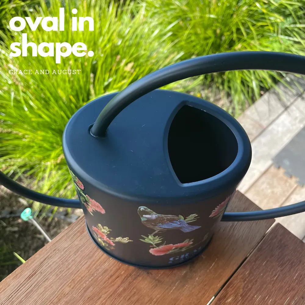 Black Tui Pōhutukawa Watering Can – 1.5L Stainless Steel Indoor Plant Watering Can Watering Can