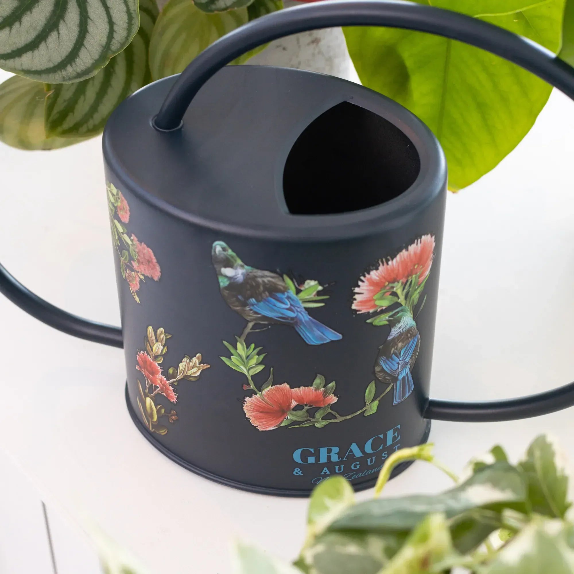 Black Tui Pōhutukawa Watering Can – 1.5L Stainless Steel Indoor Plant Watering Can Watering Can