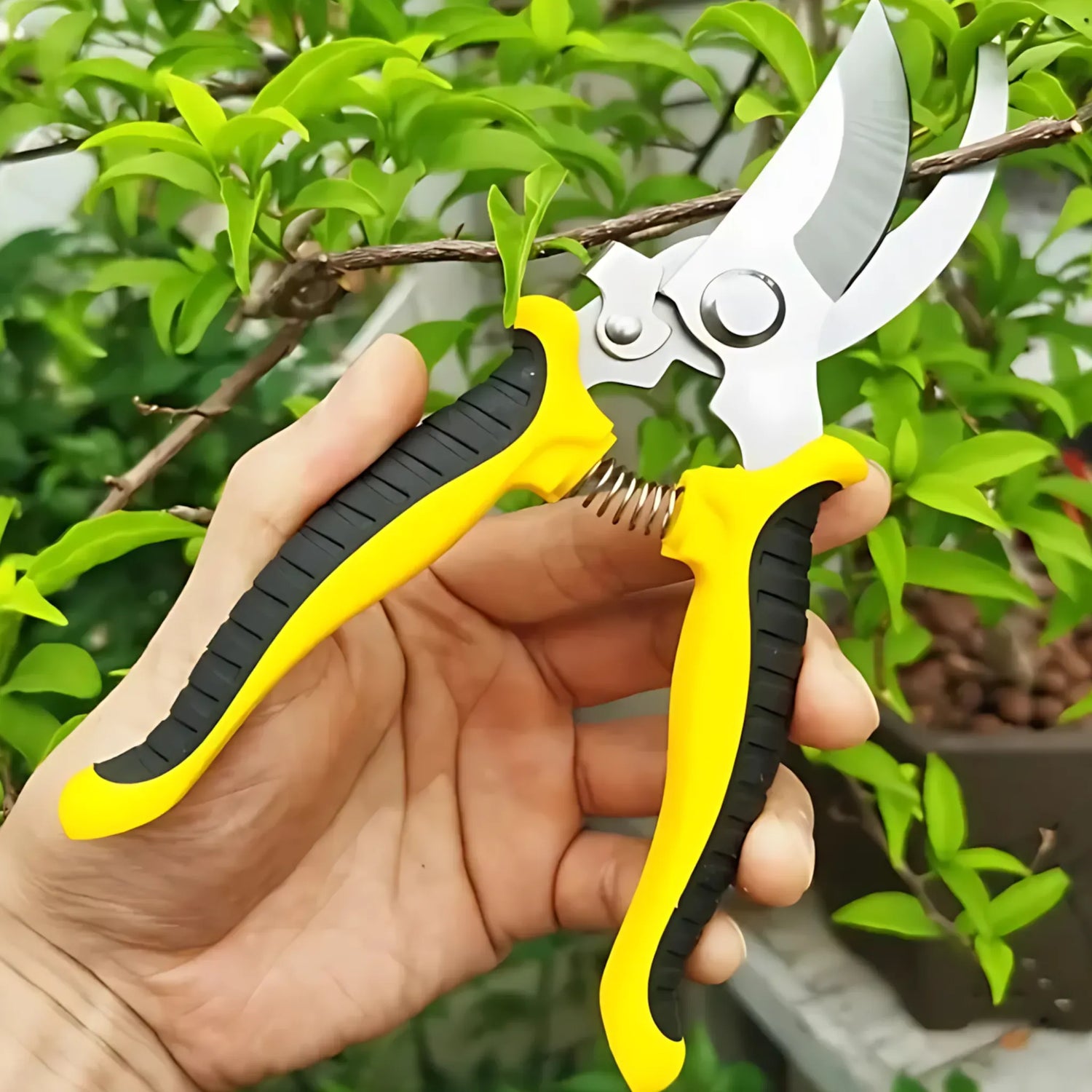 Bypass Pruning Shears - Sharp &amp; Durable Garden Tree Trimmers Pruning Shears