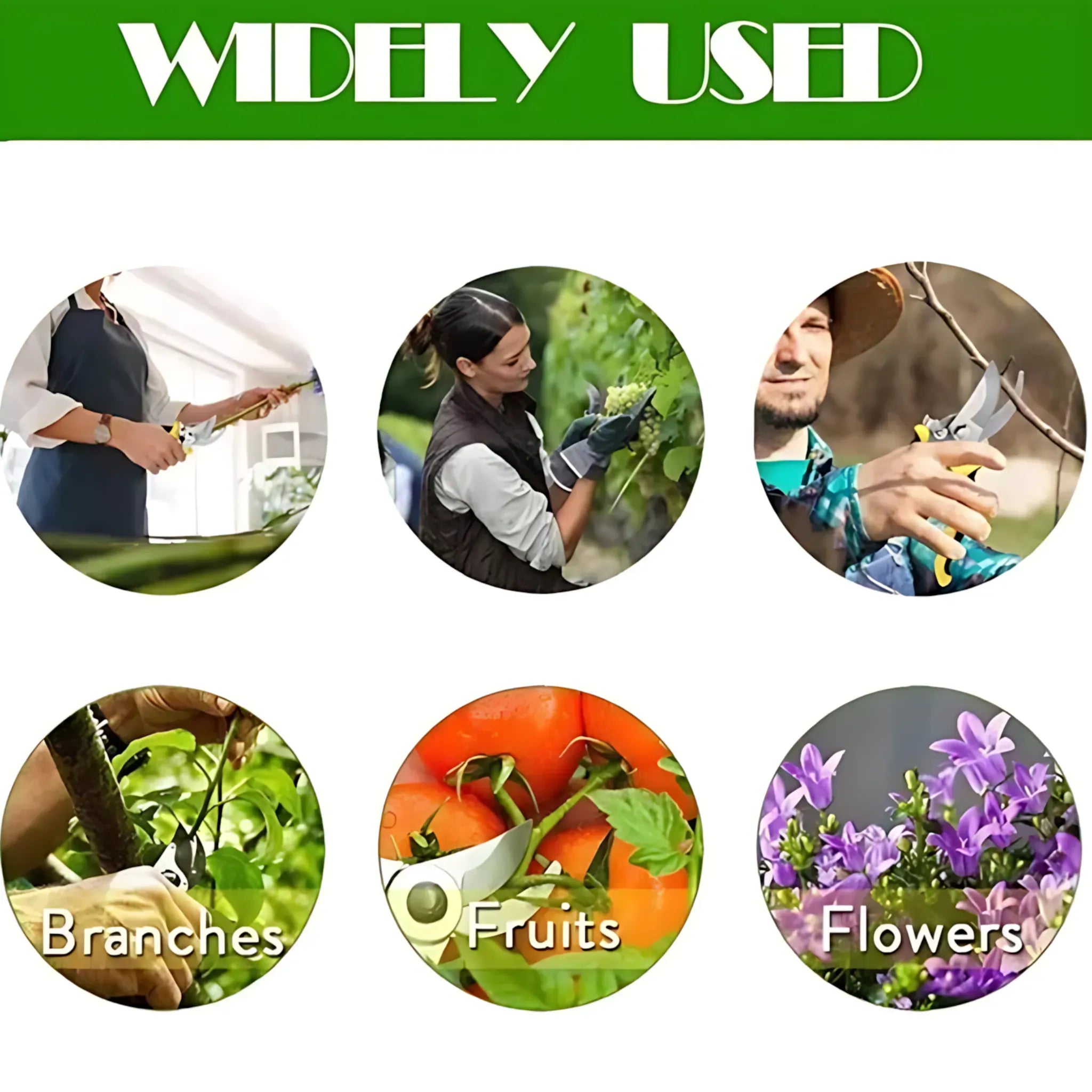 Bypass Pruning Shears - Sharp &amp; Durable Garden Tree Trimmers Pruning Shears