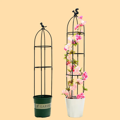 Climbing Plant Trellis - Support Frame for Flowers and Vines Plant Support