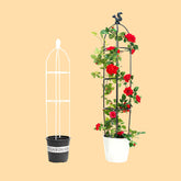 Climbing Plant Trellis - Support Frame for Flowers and Vines Plant Support