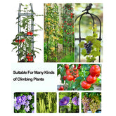 Climbing Plant Trellis - Support Frame for Flowers and Vines Plant Support