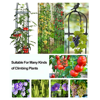 Climbing Plant Trellis - Support Frame for Flowers and Vines Plant Support