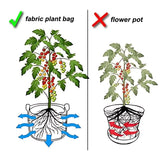 Fabric Grow Bags – 5Pcs Durable Felt Planters with Handles (3–10 Gal) Plant Pot