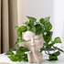 Face Flower Pot Head Planter – Clearance (One Only) Pot Plant Holder