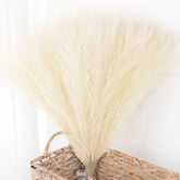 Faux Pampas Grass Decor 15 or 30Pcs | Boho Decor Milk White / 15pcs Artificial Plants