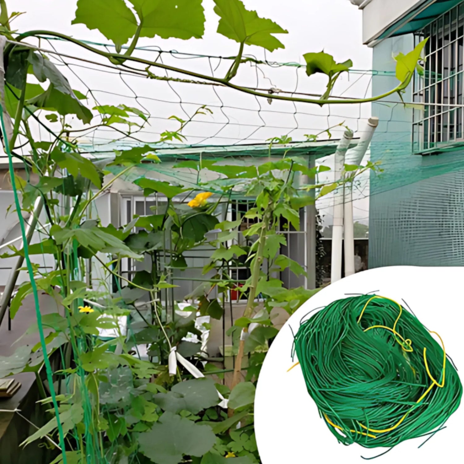 Garden Trellis Netting - Strong Nylon Support for Climbing Plants Plant Support