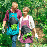 Gardening Apron | The best garden apron for all gardeners | 3 Colour Options | SPRING SALE Apron