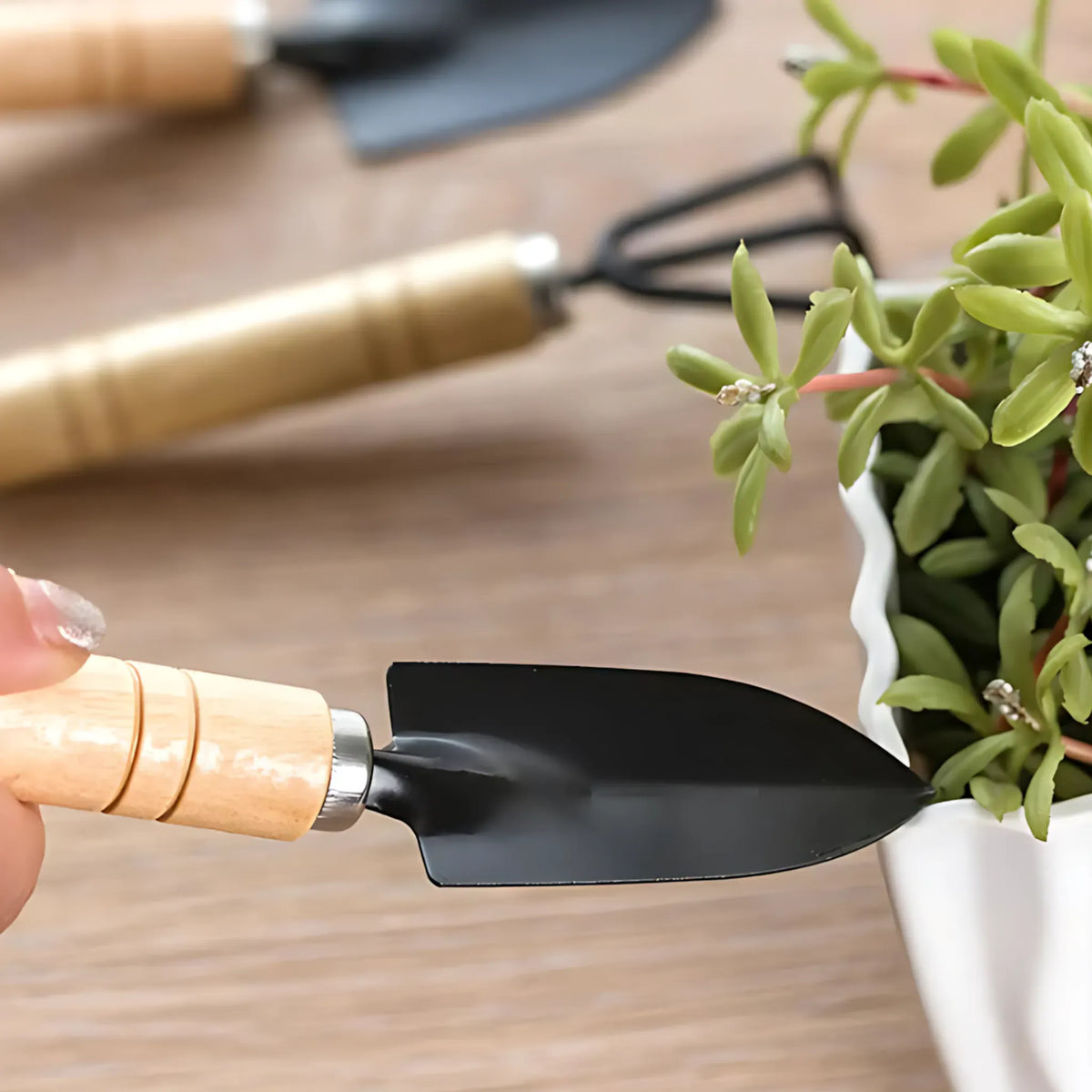 Gardening Tool Set - 3-Piece Premium Kit for Plants &amp; Veggies B2416A 3pcs set Gardening Tool