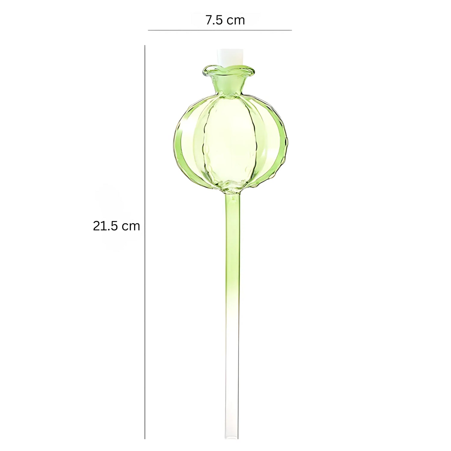 Glass Plant Watering Bulbs - Automatic Drip Irrigation System 1PC 1 Self Watering Globes