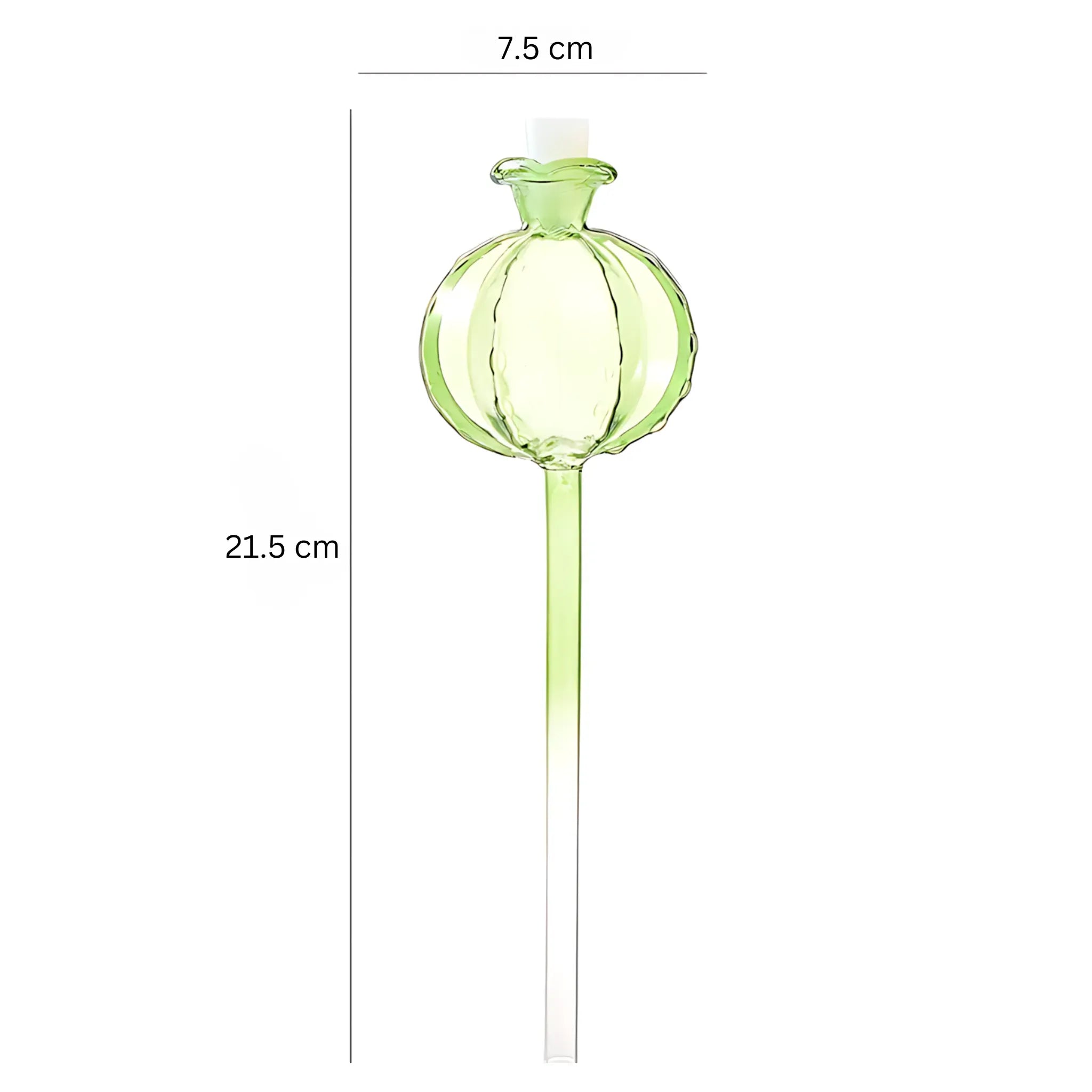 Glass Plant Watering Bulbs - Automatic Drip Irrigation System 1PC 1 Self Watering Globes