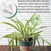 Glass Plant Watering Bulbs - Automatic Drip Irrigation System Self Watering Globes