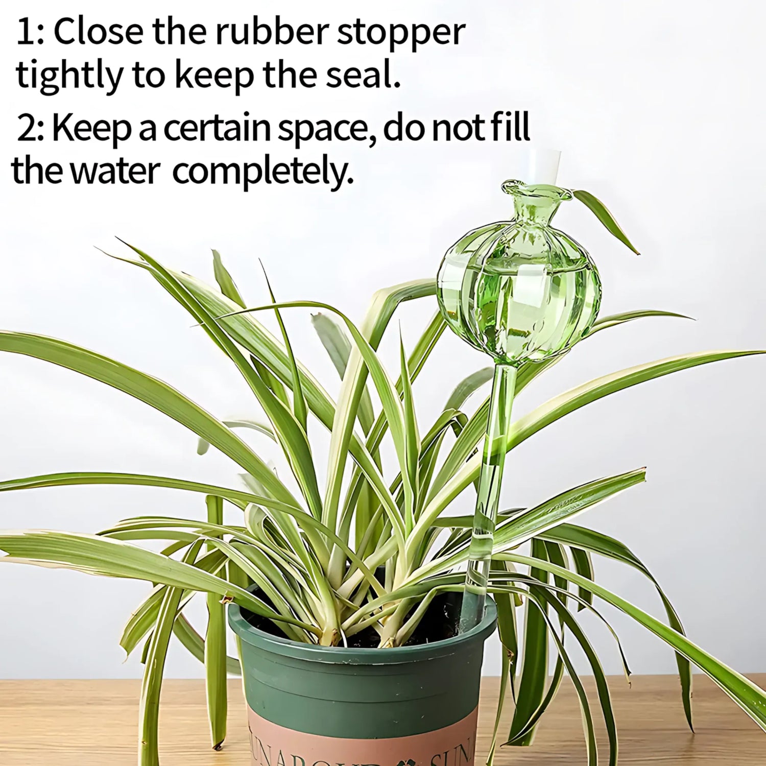 Glass Plant Watering Bulbs - Automatic Drip Irrigation System Self Watering Globes