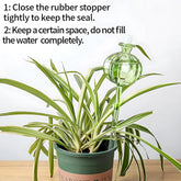 Glass Plant Watering Bulbs - Automatic Drip Irrigation System Self Watering Globes
