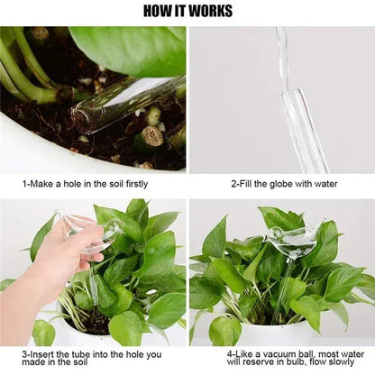 Glass Self-Watering Devices for Stylish Indoor Plants Self Watering Globes