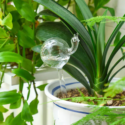 Glass Self-Watering Devices for Stylish Indoor Plants Self Watering Globes