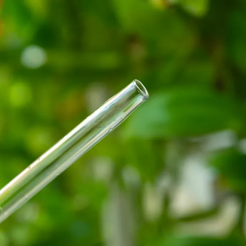 Glass Self-Watering Devices for Stylish Indoor Plants Self Watering Globes