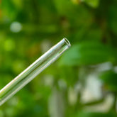 Glass Self-Watering Devices for Stylish Indoor Plants Self Watering Globes