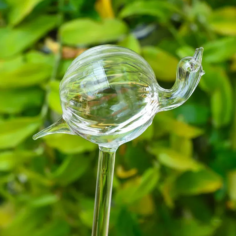 Glass Self-Watering Devices for Stylish Indoor Plants Snails Self Watering Globes