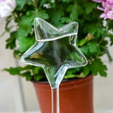 Glass Self-Watering Devices for Stylish Indoor Plants Star Self Watering Globes