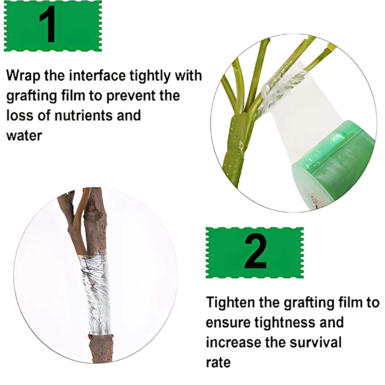 Grafting Tape - Stretchable Self-Adhesive Film for Garden Use Grafting Tape