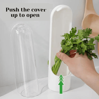 Herb Keeper - Extend Freshness up to 3 weeks, BPA-Free - Clearance Herb Saver