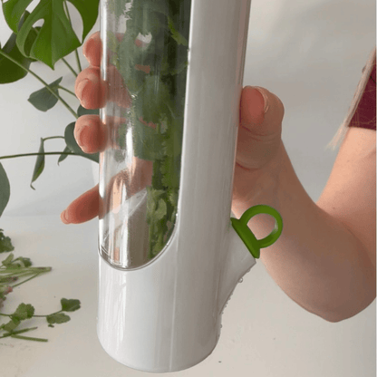 Herb Keeper - Extend Freshness up to 3 weeks, BPA-Free - Clearance Herb Saver