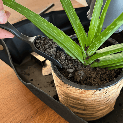 Houseplant Tools for Succulents, Bonsai and Small Houseplants, 8-14 Pieces