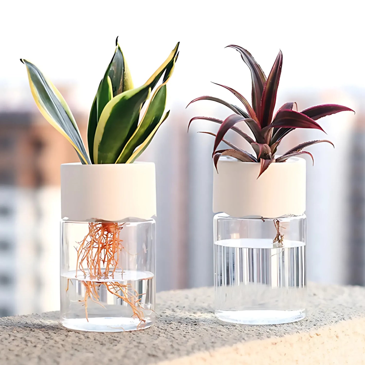 Hydroponic Glass Flower Pot Hydroponic Flower Pot Flower Pot