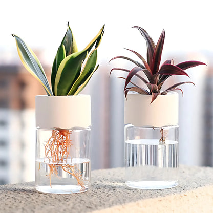 Hydroponic Glass Flower Pot Hydroponic Flower Pot Flower Pot