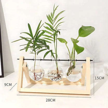 Hydroponic Glass Vase with Wooden Frame 28.5x16cm LightColor Glass Vase