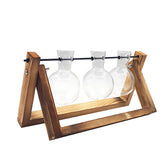 Hydroponic Glass Vase with Wooden Frame Glass Vase