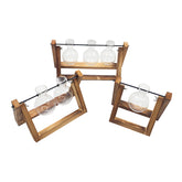 Hydroponic Glass Vase with Wooden Frame Glass Vase