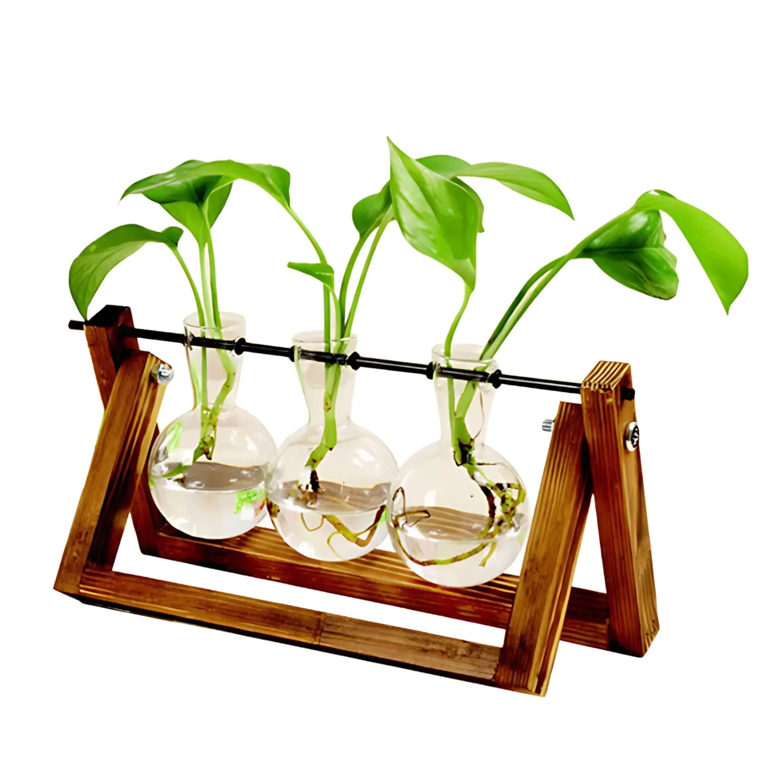 Hydroponic Glass Vase with Wooden Frame Glass Vase
