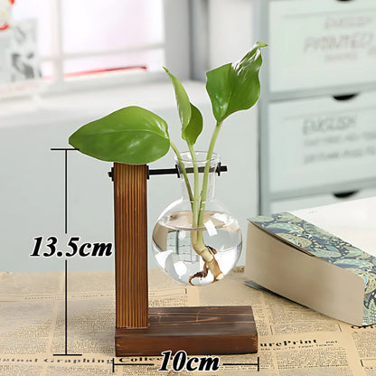 Hydroponic Glass Vase with Wooden Frame Type A Glass Vase